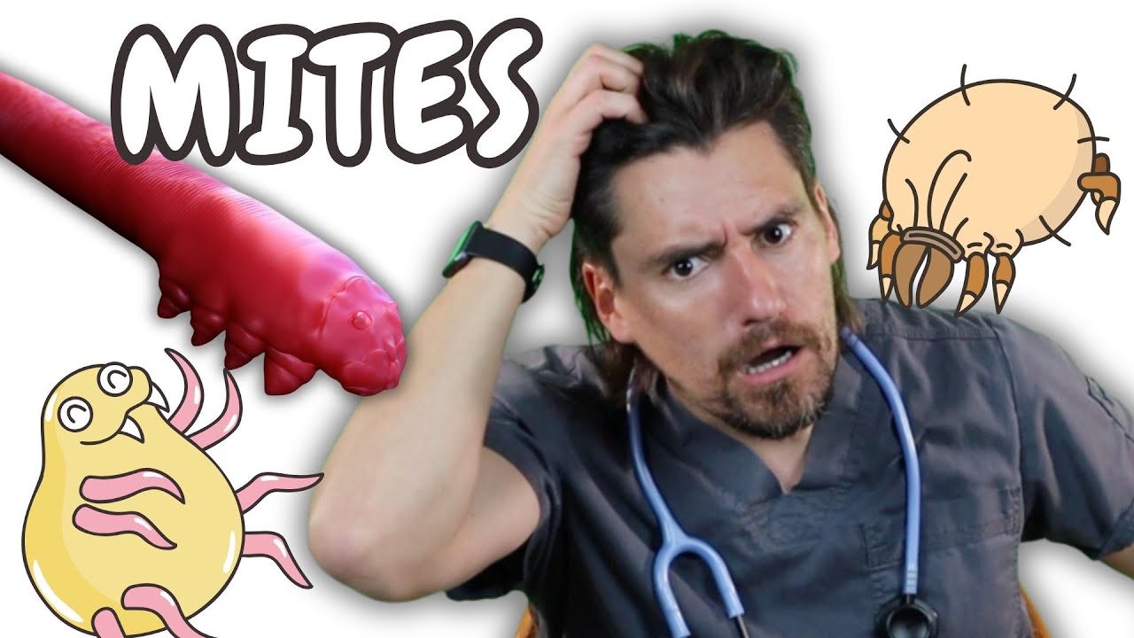 Mange!!   Dr. Dan talks about Demodex and Sarcoptic Mange.