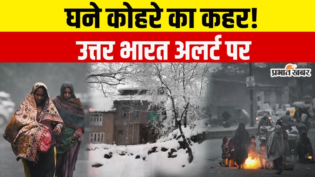 IMD Weather Alert: उत्तर भारत में कोहरे का येलो अलर्ट जारी