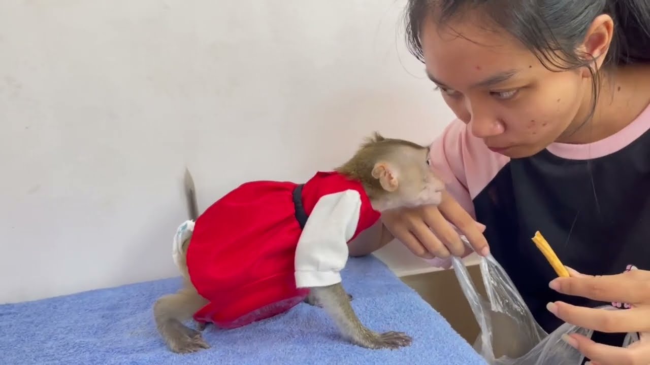 Nazztii koy can’t wait this smell of good food 