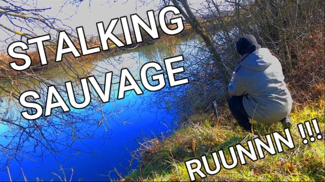 Stalking en SEILLE (( extrême bordure )) feat Maïs Sucré