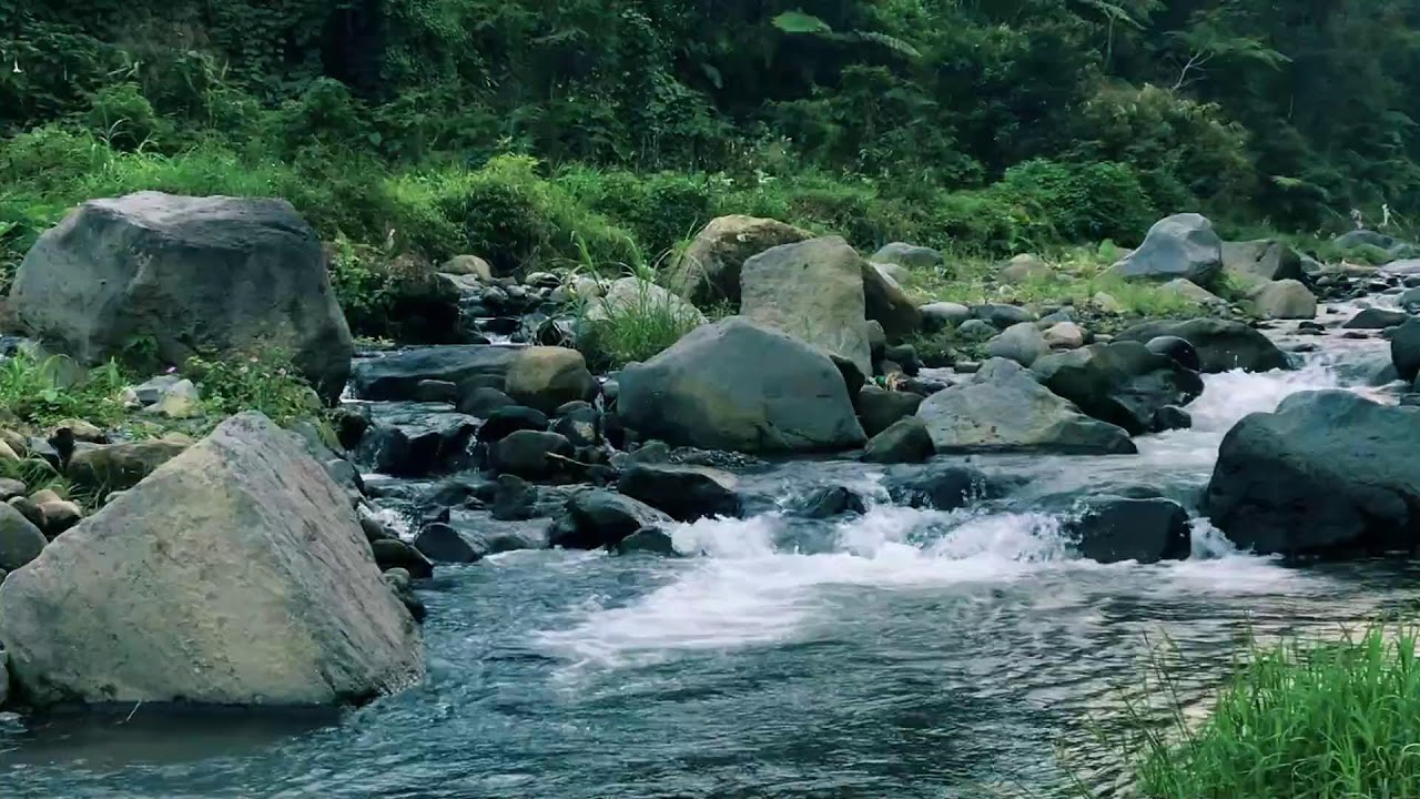 Wilderness Water Flow for Restful Sleep, Relaxation, Soothing the Soul