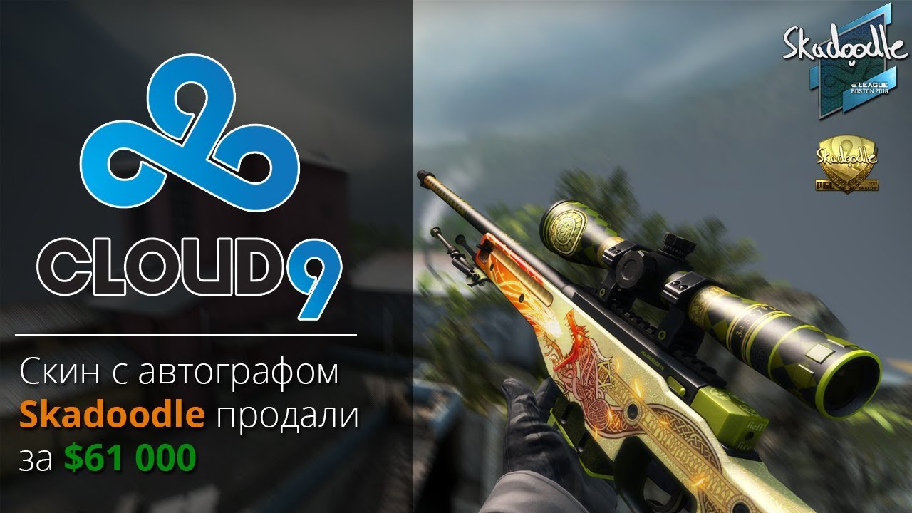 Скин с автографом Skadoodle продали за $61 000!!!