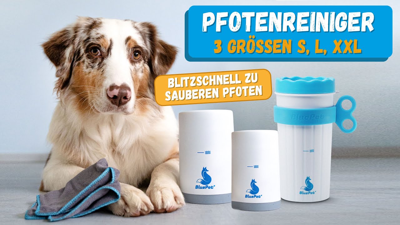 Pfotenreiniger für Hunde - Pfoten schnell und einfach reinigen | BluePet