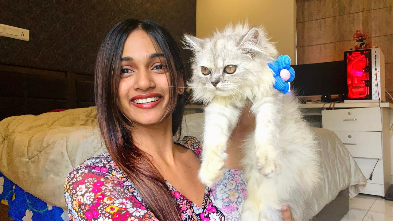 DAY IN MY LIFE AS A CAT MOM😻😻😻| DAY IN MY LIFE l DUDyX