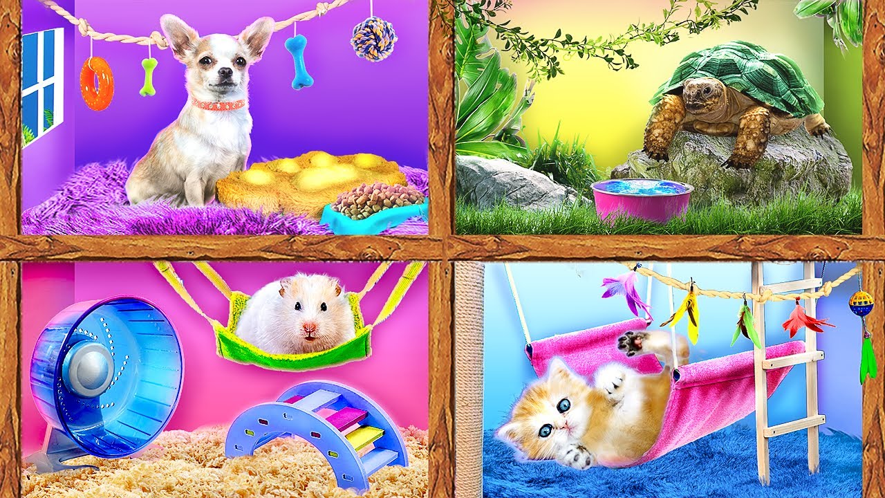 On A Construit Des Pi&egrave;ces Secr&egrave;tes Pour Nos Animaux ! J'ai Achet&eacute; Une Animalerie