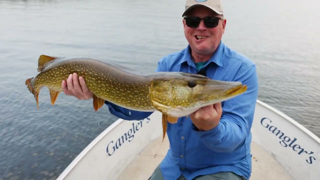 Manitoba Pike On A Fly