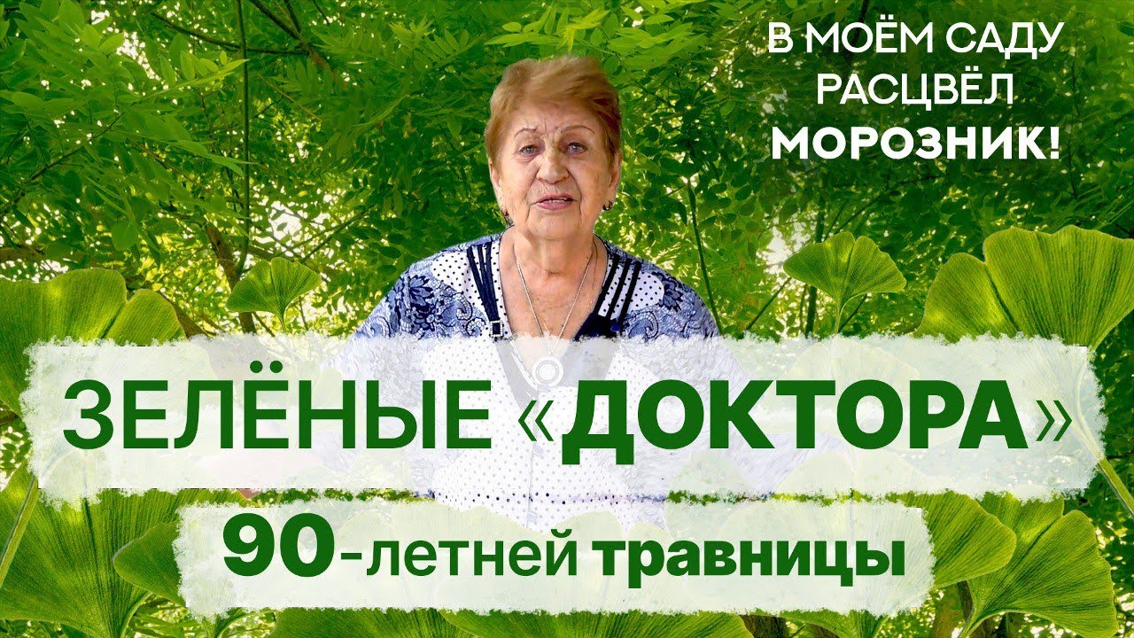 Софора, морозник, туя, гинкго, маклея. Как до 90 лет не терять память, энергию и радость