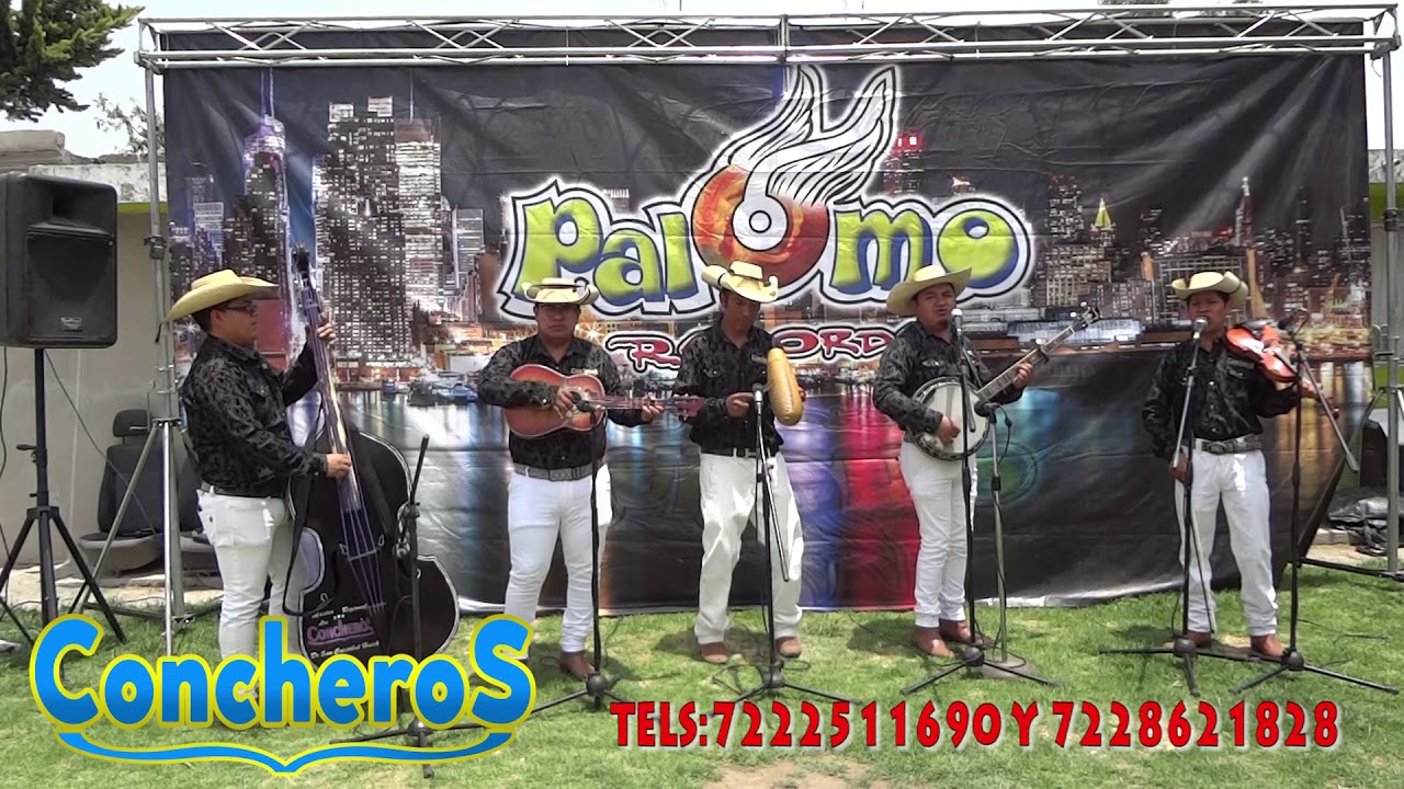 EL PALOMAZO LOS CONCHEROS EN VIVO LA CUMBIA DE LOS CONCHEROS D A R