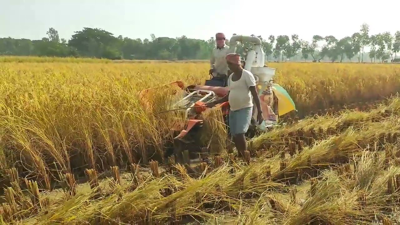 Best Mini Combine Harvester 2025 | Mini Combine Harvester in India #miniharvester.