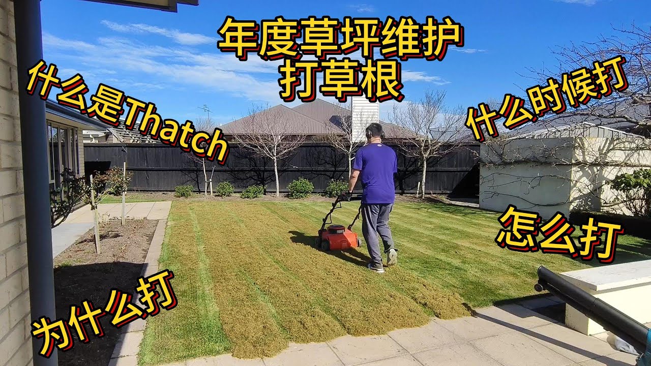 【居家DIY】年度草坪维护——Dethatch打草根【懒人包】