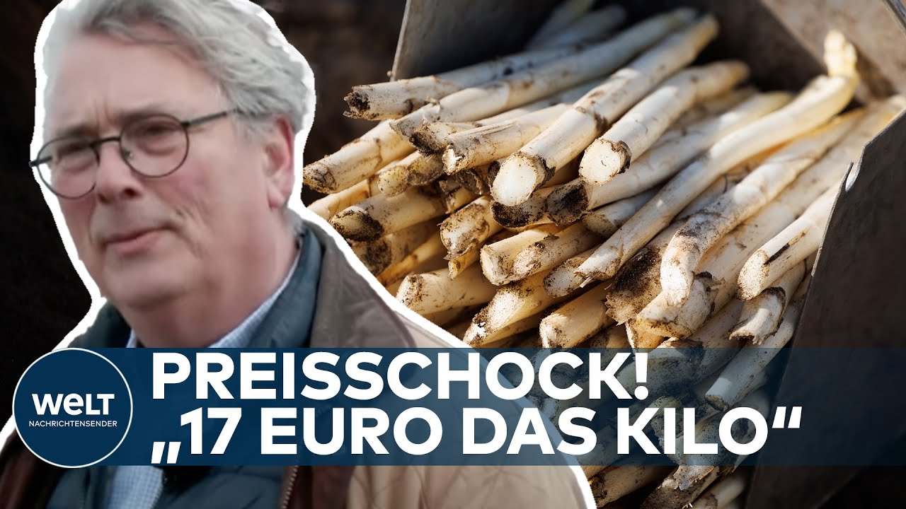SPARGEL-SAISON GEHT LOS: F&uuml;r kein anderes Gem&uuml;se steht mehr Anbau-Fl&auml;che zur Verf&uuml;gung