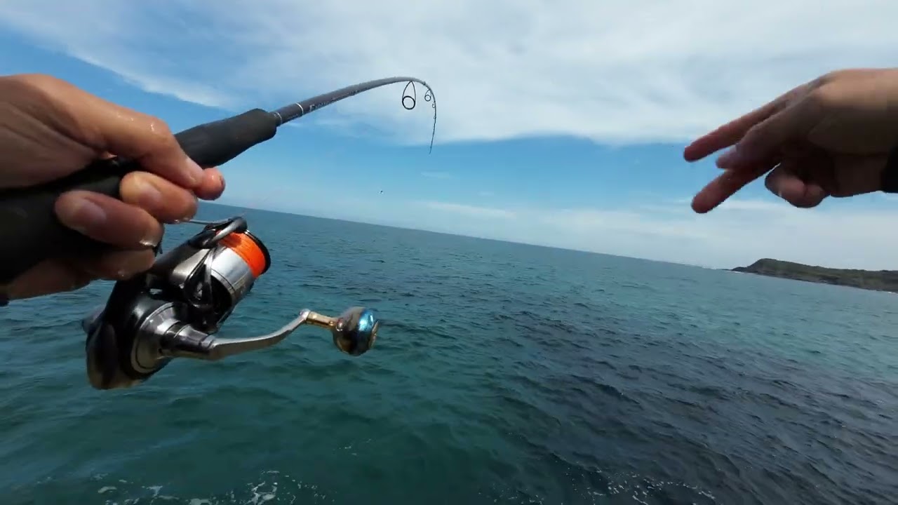 jigging nsw rock ledge #ghostLure #bonnies