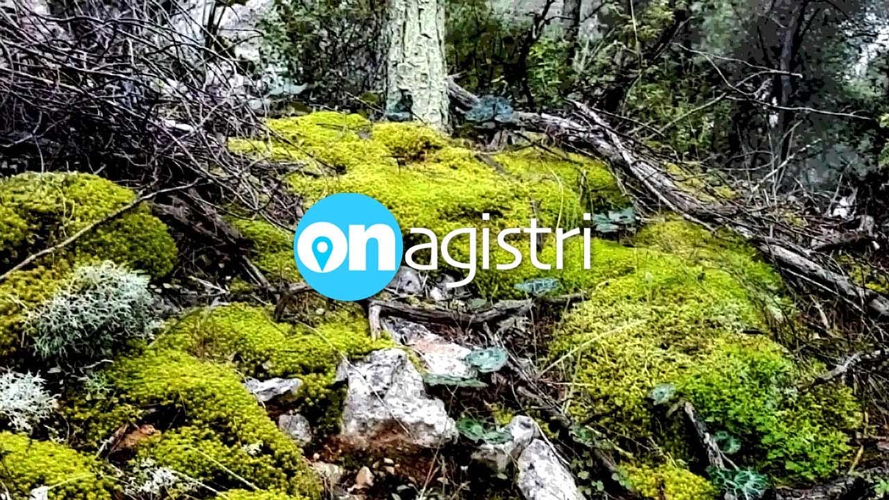 Things to do in Winter! - On Agistri