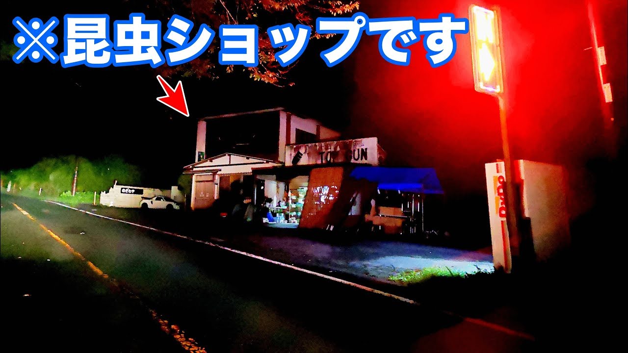 富士山の麓にある昆虫ショップに潜入したら時間が過ぎるのが早すぎた