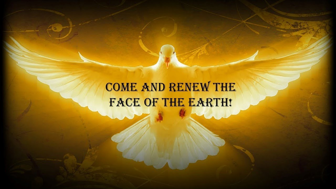 Glorious Mysteries Divine Will & Flame of Love