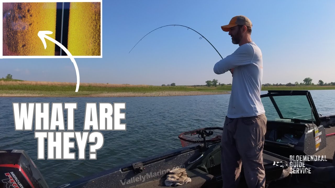 Jigging a School of Mystery Fish - Weird Bite