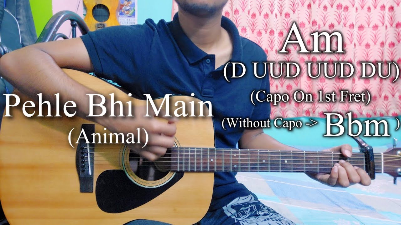 Pehle Bhi Main | Animal | Easy Guitar Chords Lesson+Cover, Strumming Pattern, Progressions...