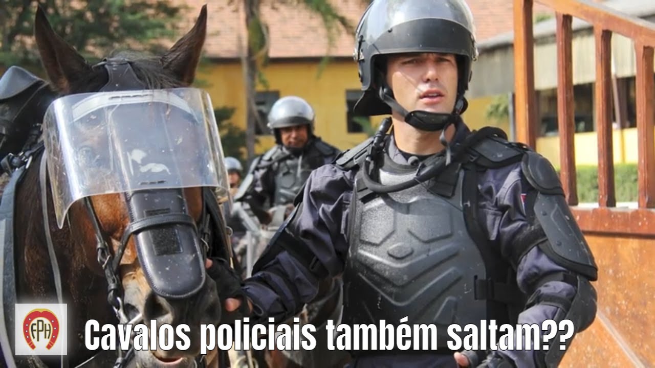 Já ouviu falar em 
