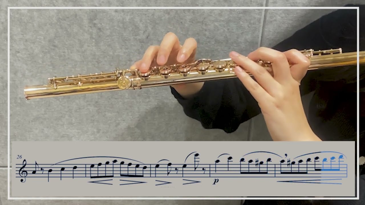 가리볼디 플루트 에튀드 Op. 131 19번 A Minor