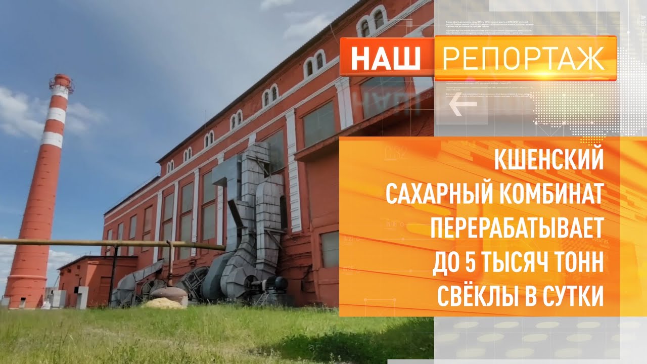 КШЕНСКИЙ САХАРНЫЙ КОМБИНАТ ПЕРЕРАБАТЫВАЕТ ДО 5 ТЫСЯЧ ТОНН СВЁКЛЫ В СУТКИ