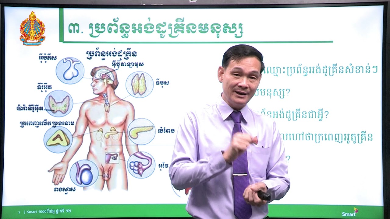ជីវវិទ្យា ថ្នាក់ទី១២ ជំពូកទី៣ មេរៀនទី៣៖​ ប្រព័ន្ធអង់ដូគ្រីន (ភាគទី៤)