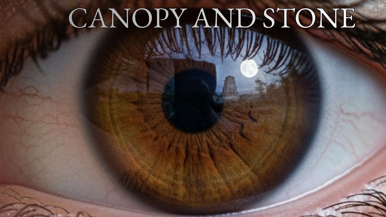 Canopy and Stone - Ambient Rainforest Soundfield
