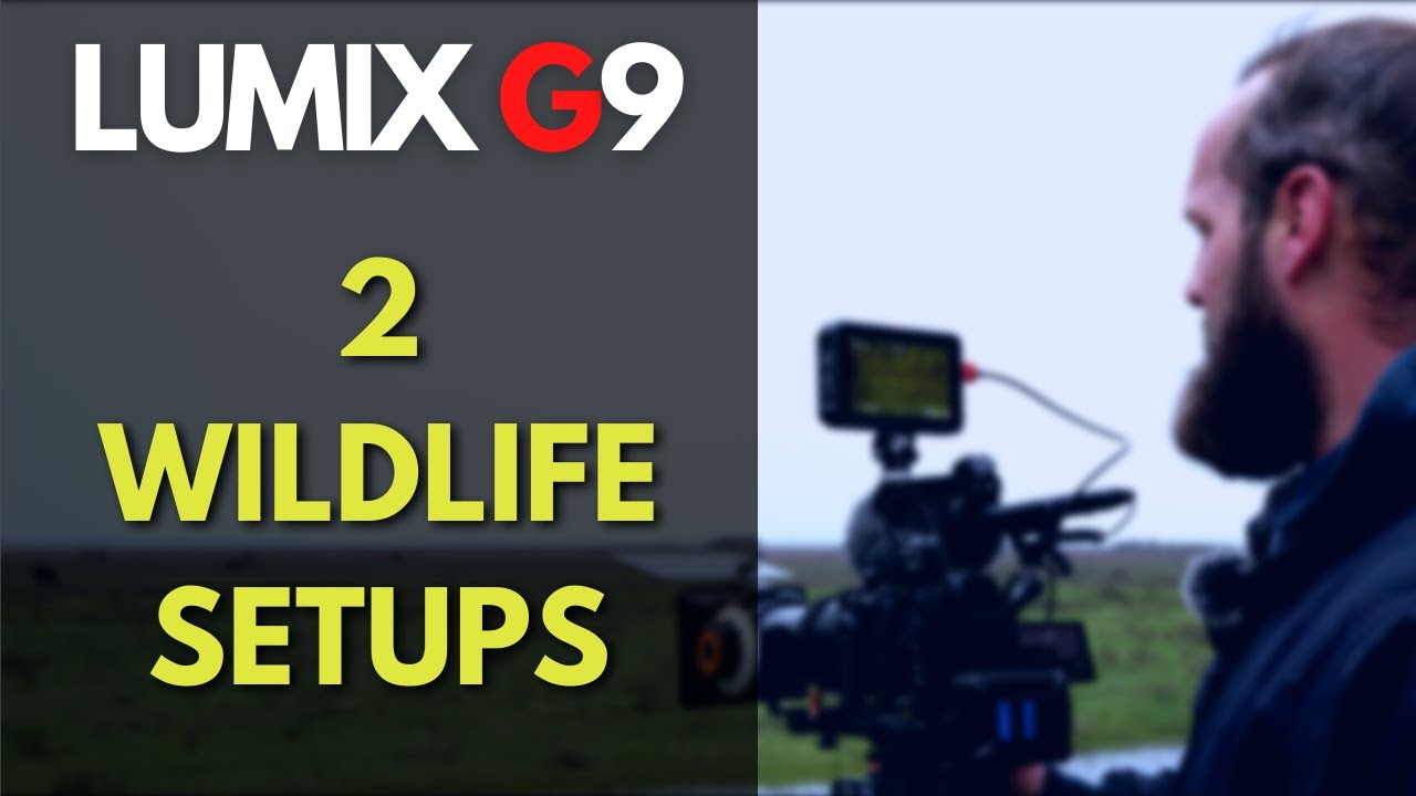 LUMIX G9 // TWO Wildlife Video SETUPS