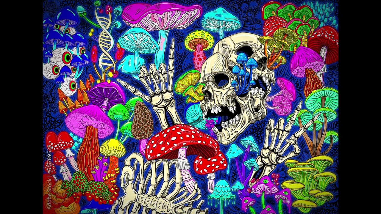 [FREE] slayr Type Beat ~ 