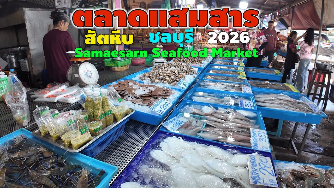 ตลาดแสมสาร สัตหีบ ชลบุรี | Samaesarn Seafood Market