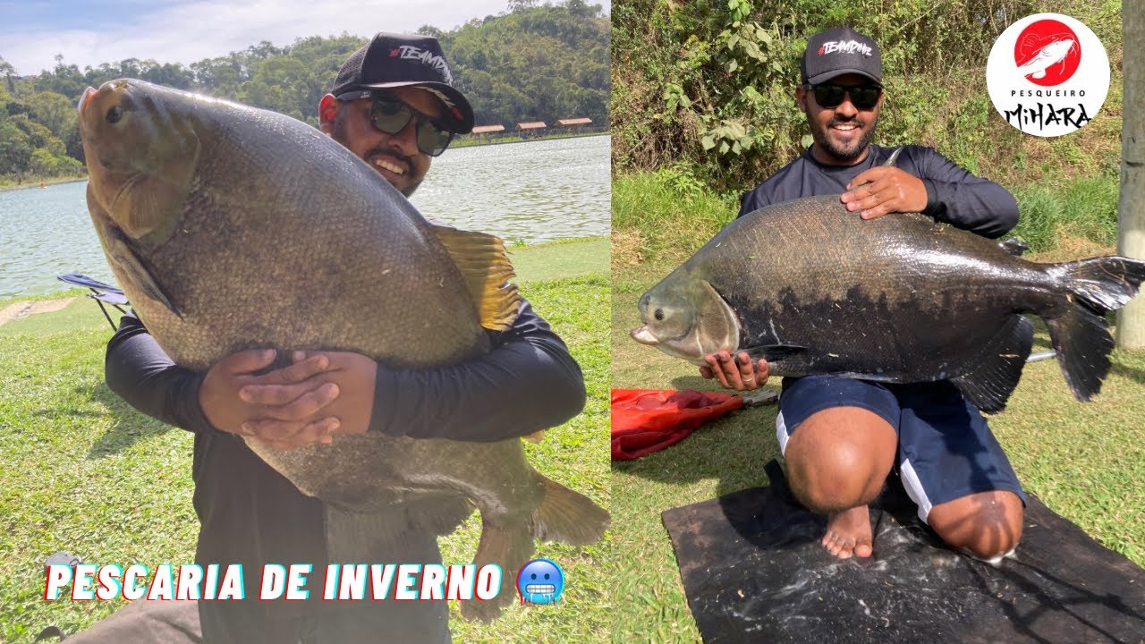 Pesqueiro Mihara em Pleno Inverno | Pescaria com Tambacus de 19kg e 21kg
