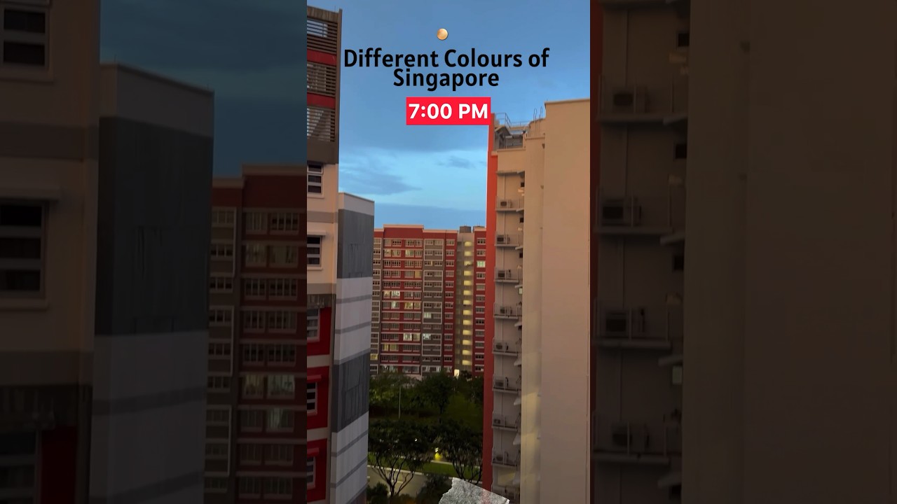 Colours of Singapore #singapore #ytshorts #shorts #singaporevlog #rain
