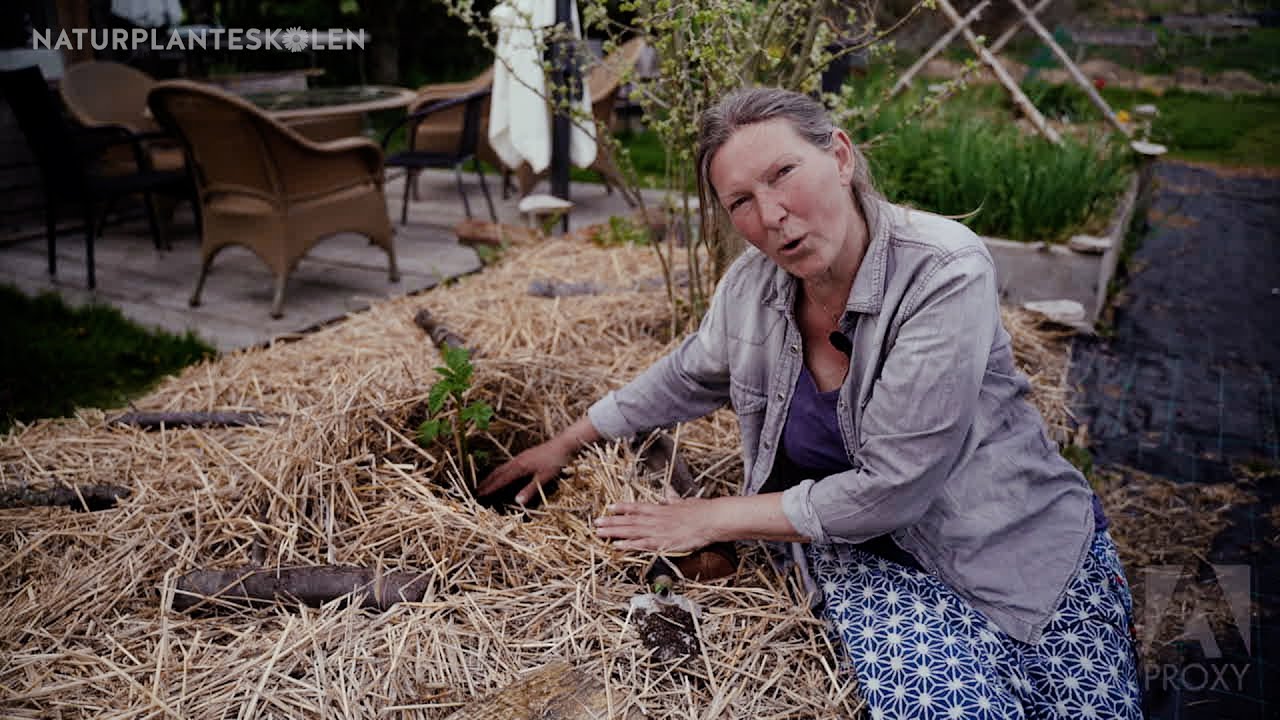 Afsnit 8 - Gravefri k&oslash;kkenhave : Permakultur i haven med Aiah Noack (8 af 10) PERMACULTURE (DANISH)