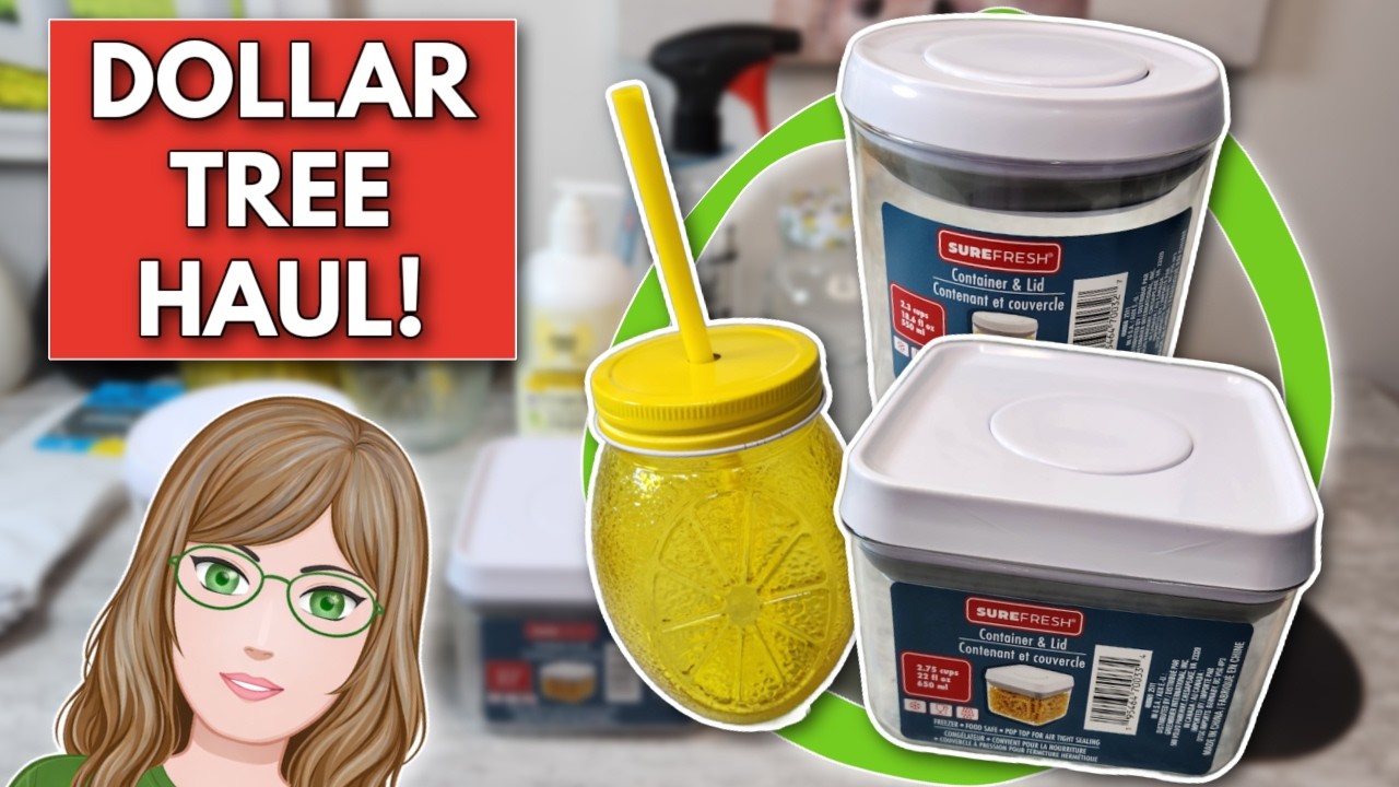 AWESOME New Finds!  Dollar Tree Haul & Walkthrough | March 30, 2026
