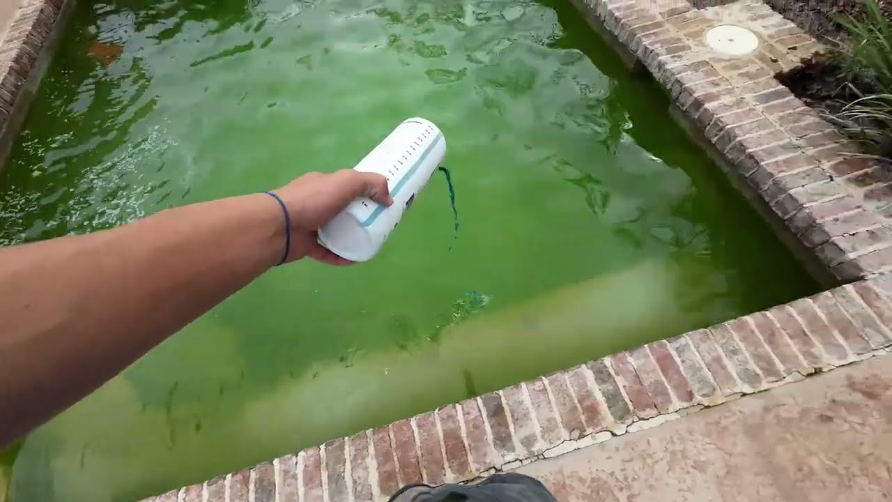Nasty Mini Green Pool Clean Up