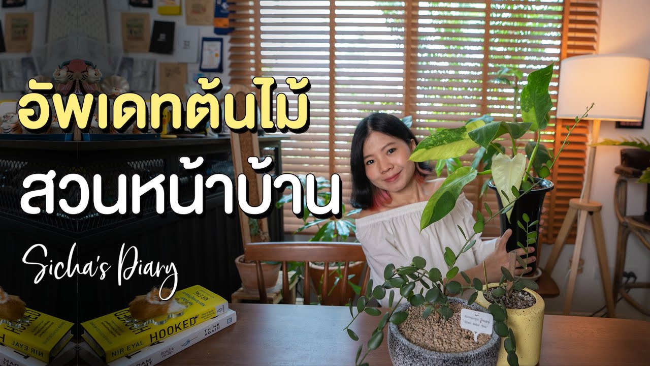 อัพเดทต้นไม้ สวนหน้าบ้าน พ.ค. 2022 #ฟิโลเดนดรอน #ไม้กระถาง #ไม้ใบ #ไม้อวบน้ำ