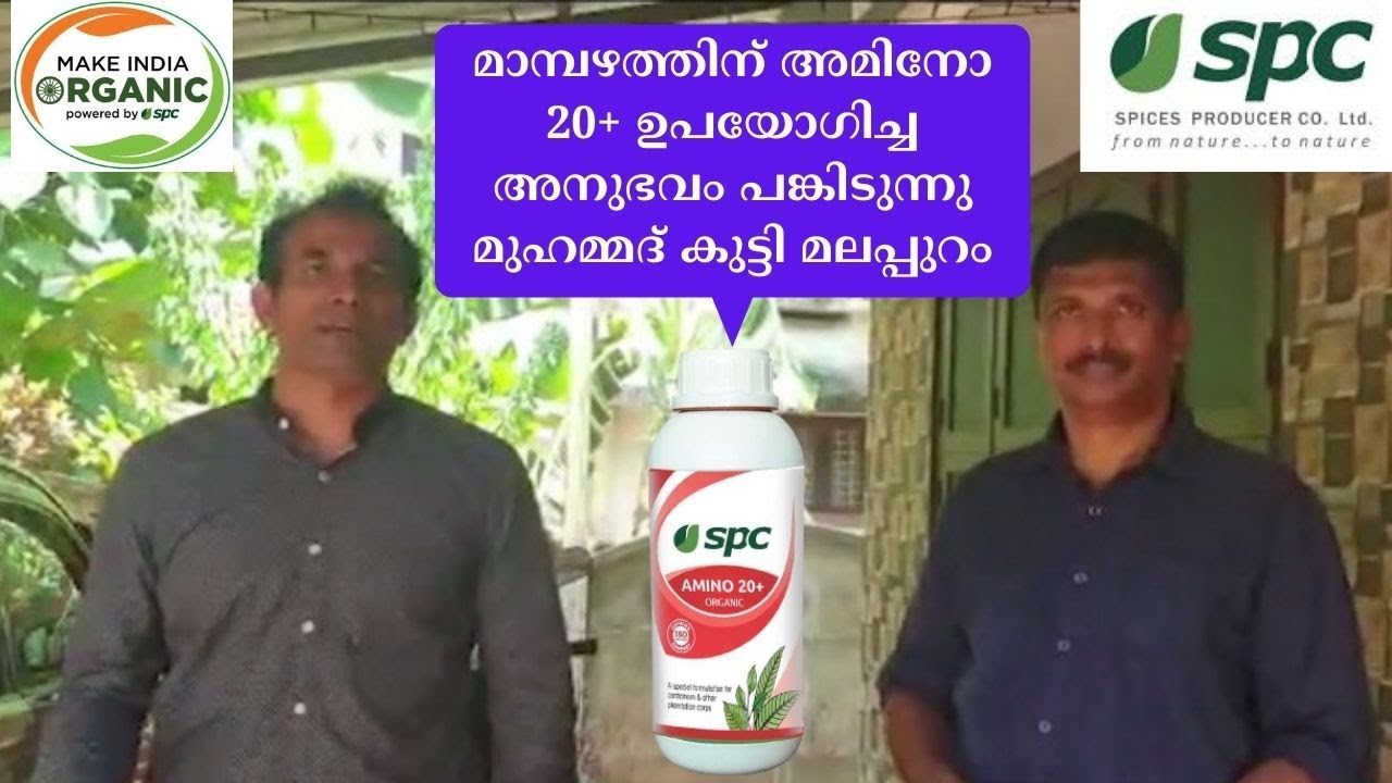 SPC Products | Experience of Mohammed Kutty Malappuram, Using for Mango | AMINO 20+