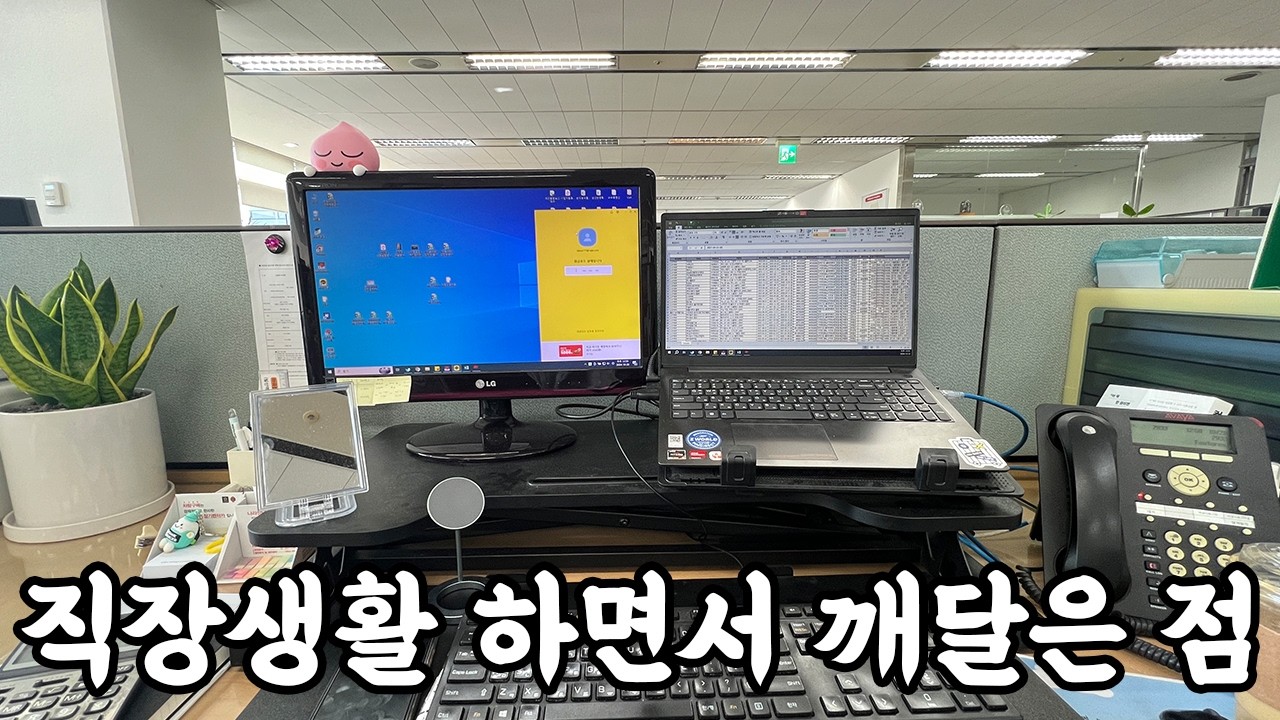 13년 직장생활 하면서 뼈저리게 깨달은 현실