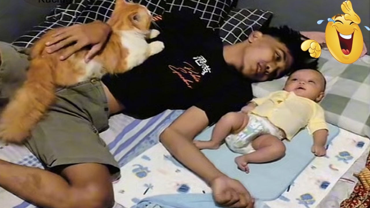 Lucu banget Oyen Cemburu! Rebutan ayah sama Bayi sampai ga mau ngalah/kompilasi kucing pailing lucu
