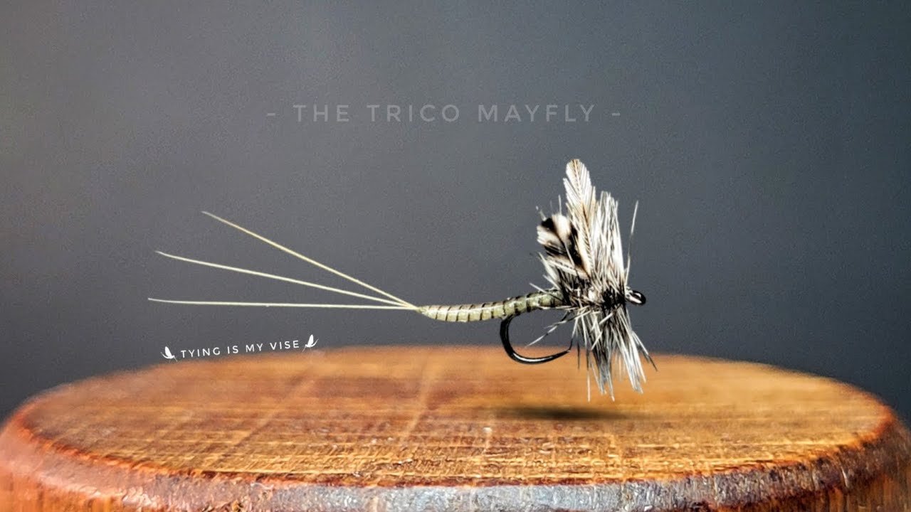The Trico Mayfly - An Instructional Fly Tying Video