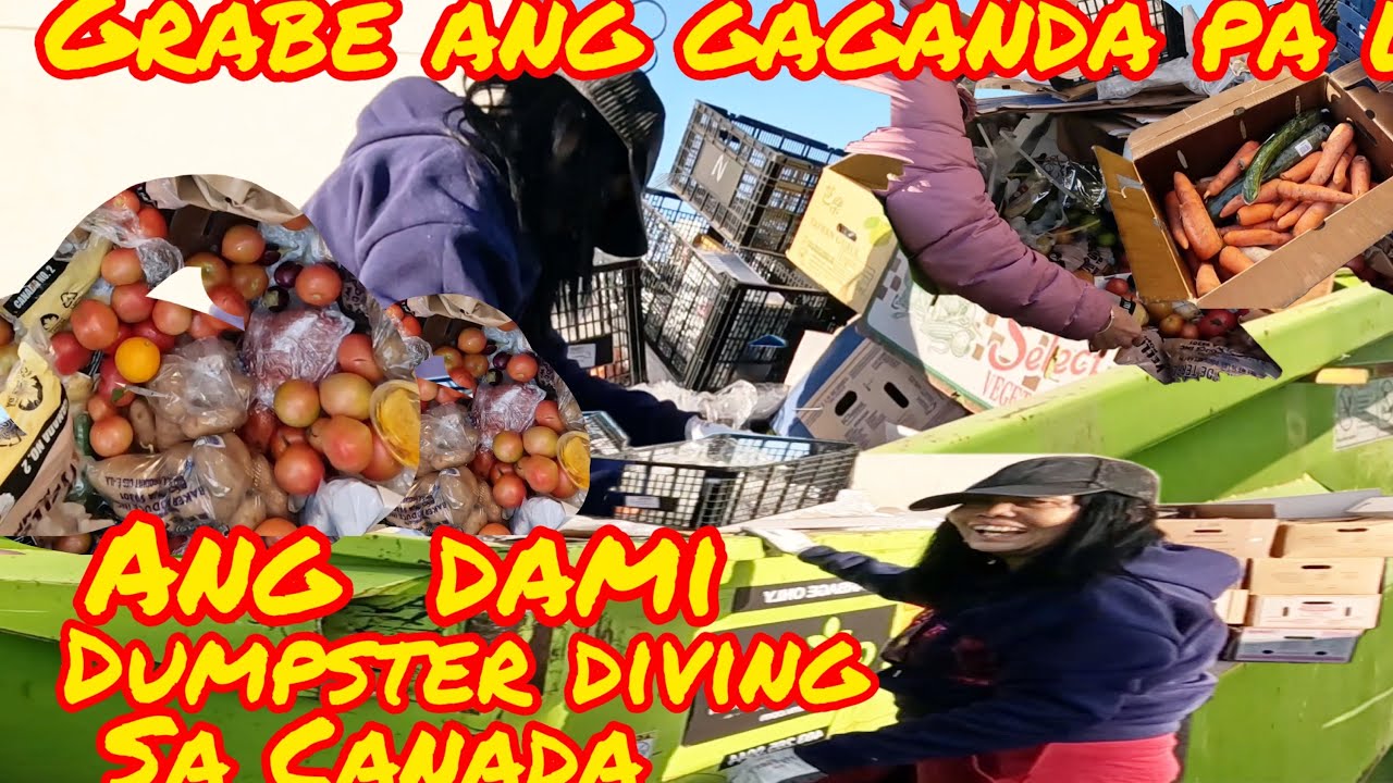 DUMPSTER DIVING/UMAAPAW N KAMATIS ST PATATAS SA BASURAHAN/LIFE IN CANADA #viral #jackpot #trending 