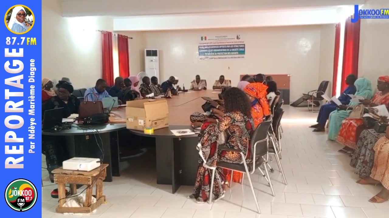 CDPE  PROTECTION DE L'ENFANT: présentation des services des structures étatiques et de la société...