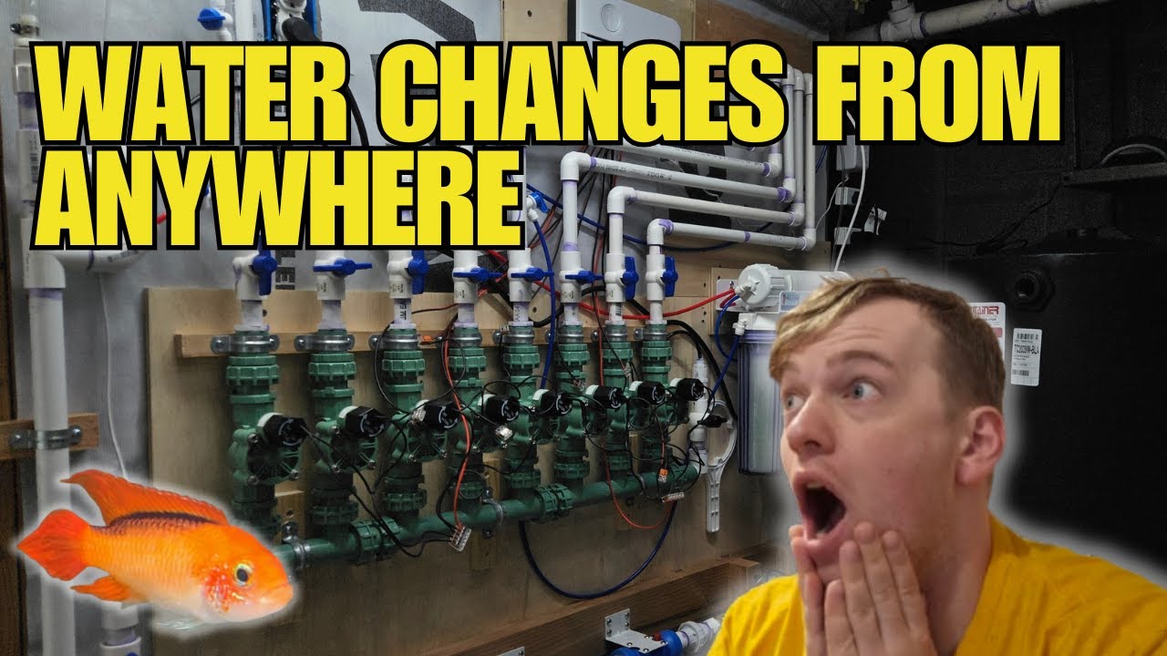 These Aquariums Change Water From Anywhere In The World! (Automatic Water Change System)