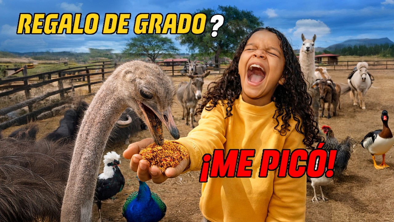 ¿Dinosaurios en Villa de Leyva? Un viaje inolvidable con mis padres.