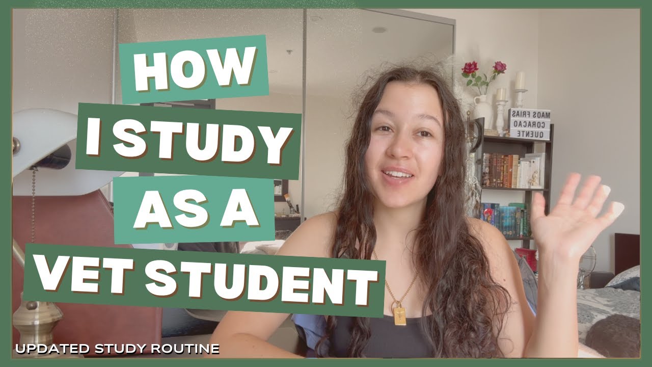 How I Study as a Vet Student | Updated Study Routine (End of First Year)