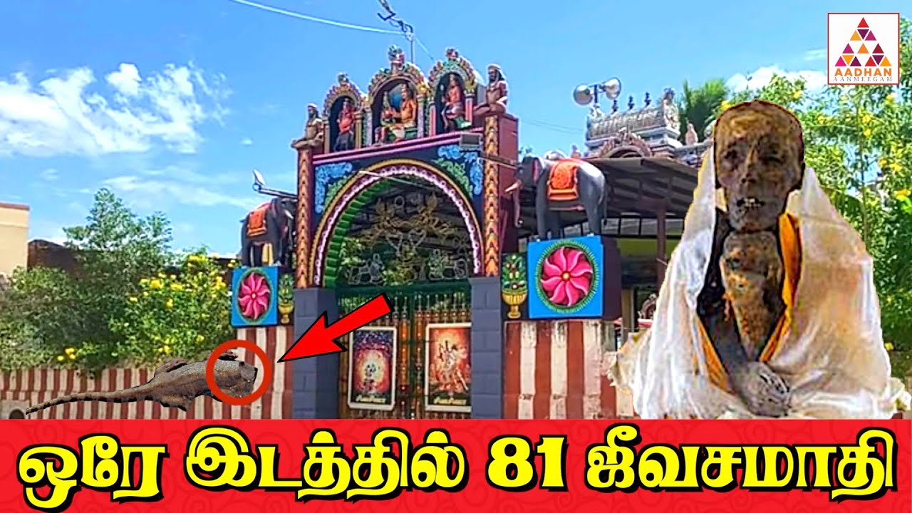 கிண்ணிமங்கலம் சித்தர்கள் கோவில் | அதிசய ஆலயம் | Jeeva Samathi | Aadhan Aanmeegam