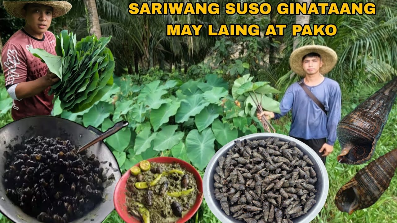 GINATAANG SUSO NA MAY LAING AT PAKO