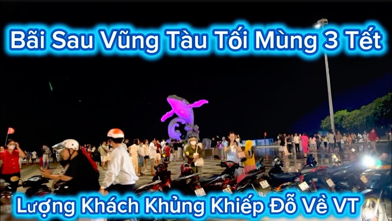 39 .Bãi Sau Vũng Tàu Tối Mùng 3 Tết Lượng Khách Khủng Khiếp Đỗ Về Vũng Tàu 