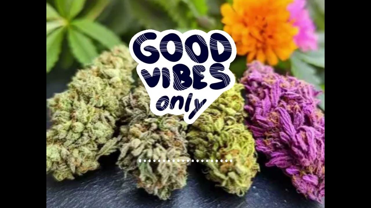 Sour, Orange, Blue Dreams & Purple Kush - Lofi Reggae Instrumental