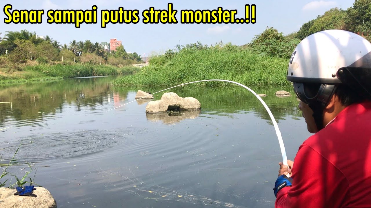 Mancing Ikan Nila Liar Di Spot Potensial Isinya Babon Semua