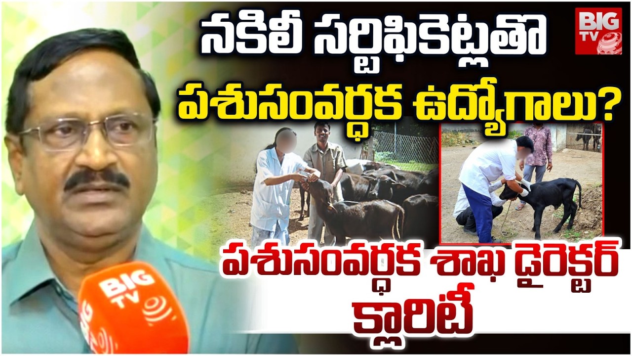 నకిలీ సర్టిఫికెట్లతొ ఉద్యోగాలు? Directorof the Animal Husbandry Department Damodar Interview | BIGTV